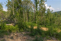 property photo for Creek Hollow Phase II Tract 82, 8.82 acres for sale in Rockcastle County, Kentucky