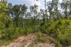 property photo for Creek Hollow Phase II Tract 82, 8.82 acres for sale in Rockcastle County, Kentucky