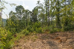 property photo for Creek Hollow Phase II Tract 82, 8.82 acres for sale in Rockcastle County, Kentucky