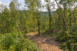 property photo for Creek Hollow Phase II Tract 82, 8.82 acres for sale in Rockcastle County, Kentucky