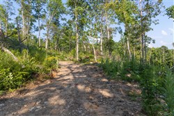 property photo for Creek Hollow Phase II Tract 85, 7.65 acres for sale in Rockcastle County, Kentucky