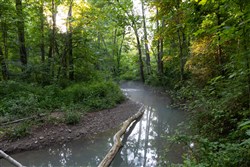 property photo for Creek Hollow Phase II Tract 85, 7.65 acres for sale in Rockcastle County, Kentucky