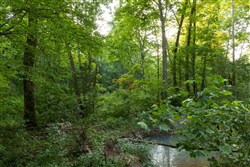 property photo for Creek Hollow Phase II Tract 85, 7.65 acres for sale in Rockcastle County, Kentucky