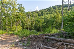 property photo for Creek Hollow Phase II Tract 85, 7.65 acres for sale in Rockcastle County, Kentucky