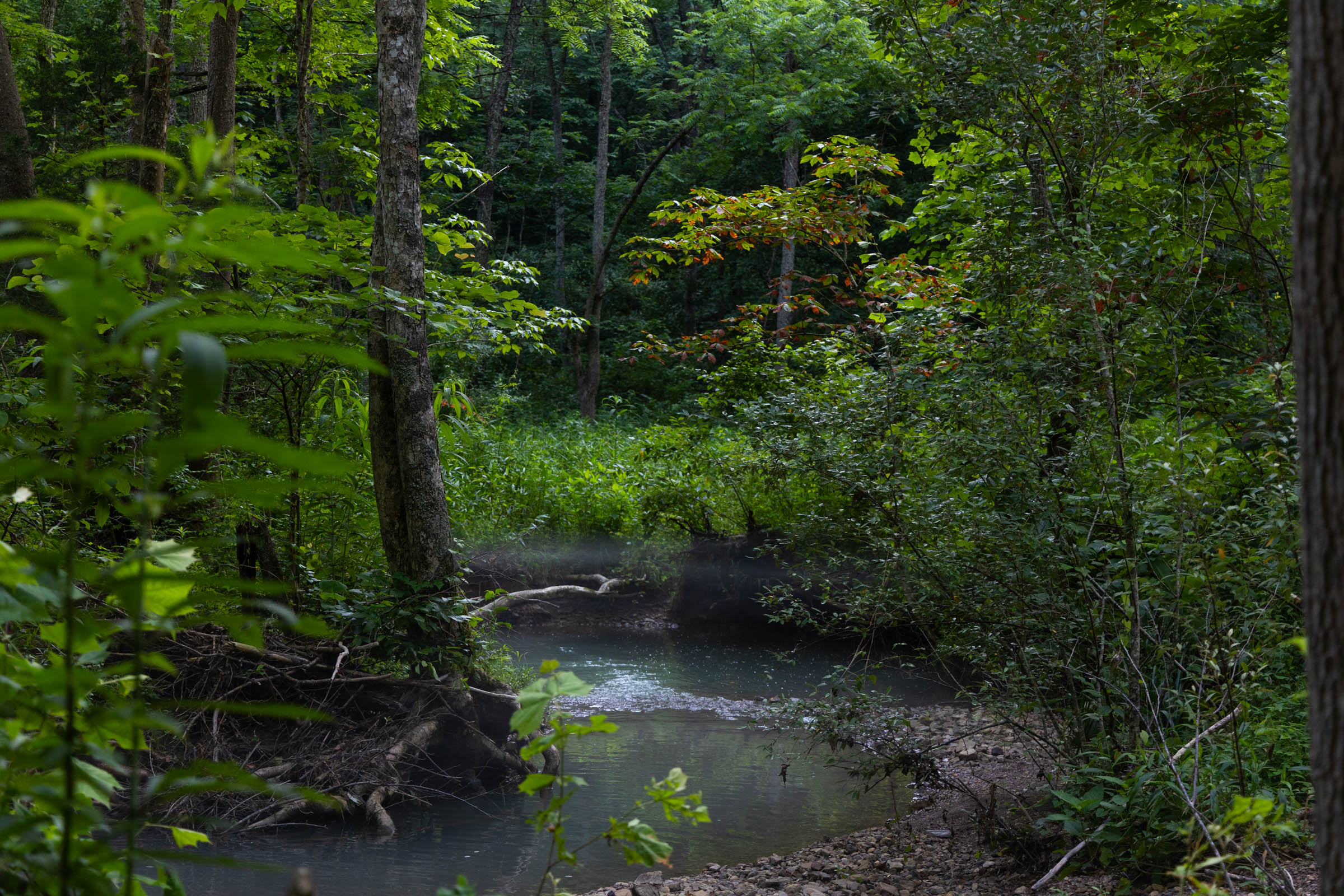 Tract 86 at Creek Hollow Phase II in Rockcastle County, Kentucky