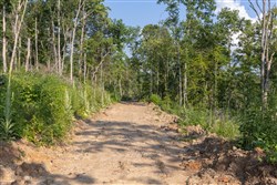 property photo for Creek Hollow Phase II Tract 86, 10.83 acres for sale in Rockcastle County, Kentucky