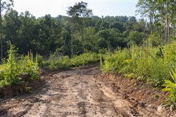 property photo for Creek Hollow Phase II Tract 86, 10.83 acres for sale in Rockcastle County, Kentucky