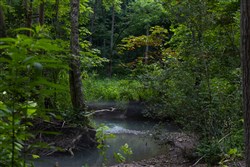 property photo for Creek Hollow Phase II Tract 86, 10.83 acres for sale in Rockcastle County, Kentucky