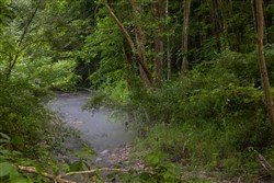 property photo for Creek Hollow Phase II Tract 86, 10.83 acres for sale in Rockcastle County, Kentucky