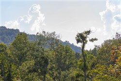 property photo for Creek Hollow Phase II Tract 86, 10.83 acres for sale in Rockcastle County, Kentucky