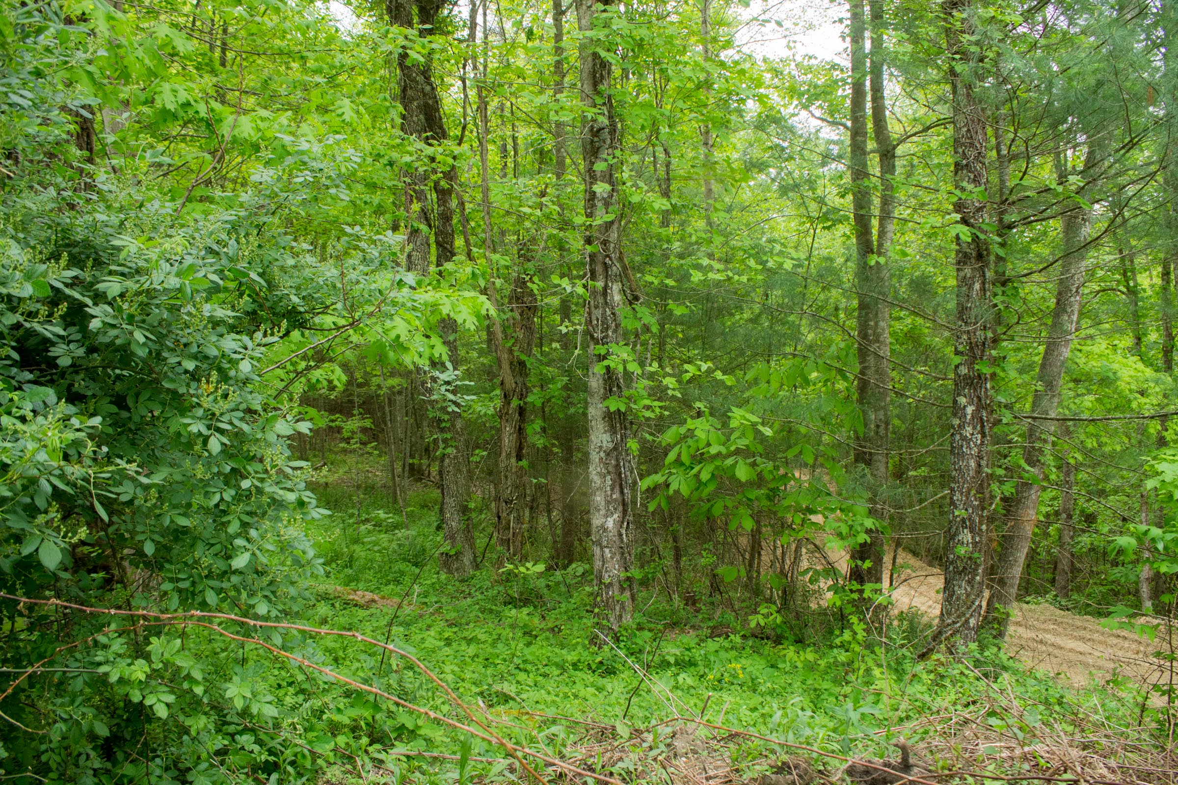 Tract 1 at Trails End in Rockcastle County, Kentucky