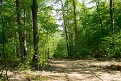 property photo for Trails End Tract 20, 12.54 acres for sale in Rockcastle County, Kentucky