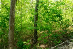 property photo for Trails End Tract 20, 12.54 acres for sale in Rockcastle County, Kentucky