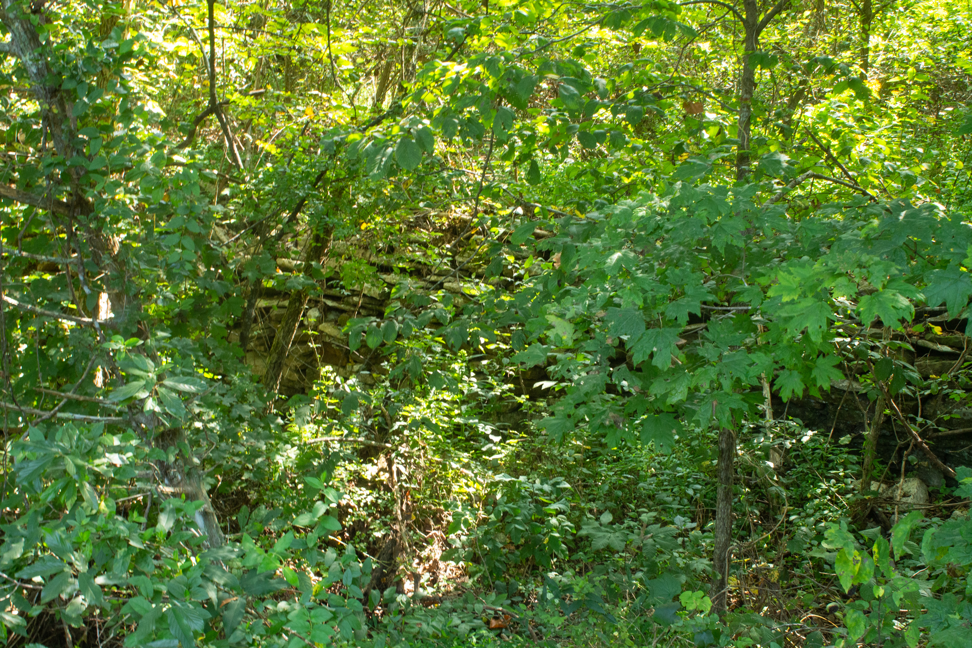 Tract 1 at Blue Grass Ridge in Wayne County, Kentucky