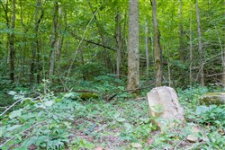 property photo for Bluewater Ridge Tract 12, 4.32 acres for sale in Wayne County, Kentucky