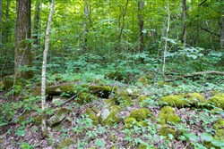 property photo for Bluewater Ridge Tract 12, 4.32 acres for sale in Wayne County, Kentucky