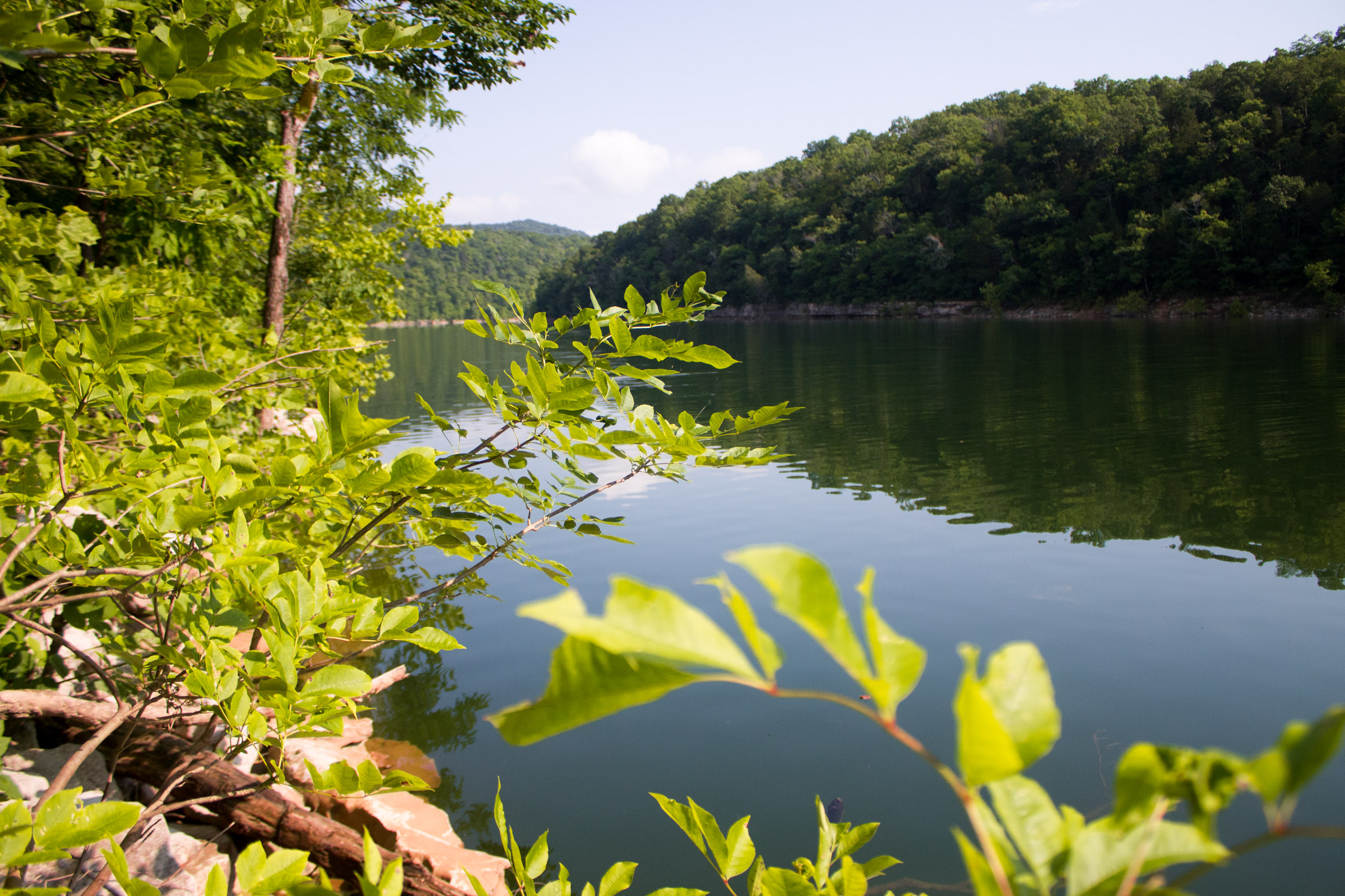 Tract 14 at Bluewater Ridge in Wayne County, Kentucky