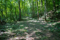 property photo for Bluewater Ridge Tract 15, 3.25 acres for sale in Wayne County, Kentucky