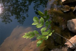 property photo for Bluewater Ridge Tract 15, 3.25 acres for sale in Wayne County, Kentucky