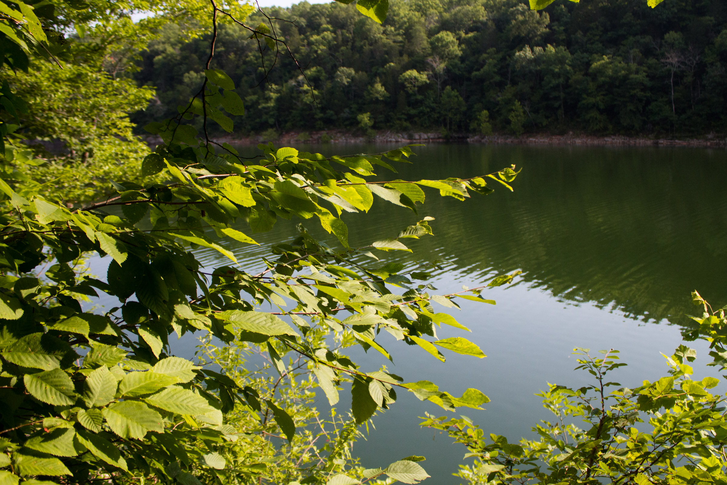 Tract 16 at Bluewater Ridge in Wayne County, Kentucky