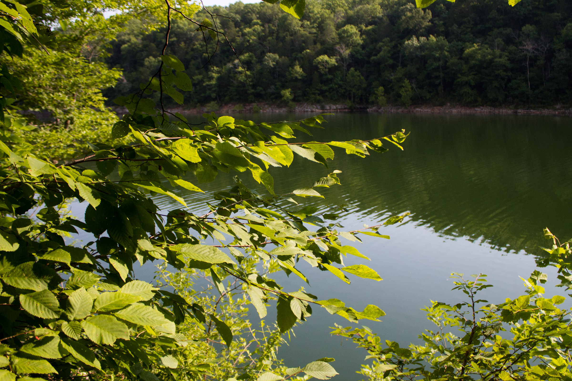 Tract 21 at Bluewater Ridge in Wayne County, Kentucky