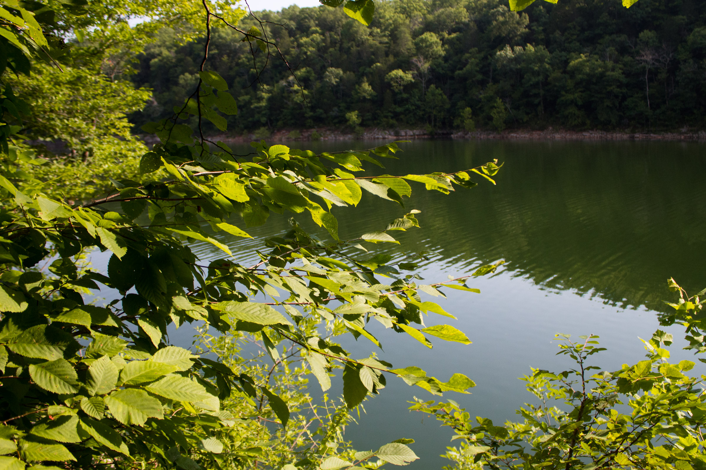 Tract 24 at Bluewater Ridge in Wayne County, Kentucky