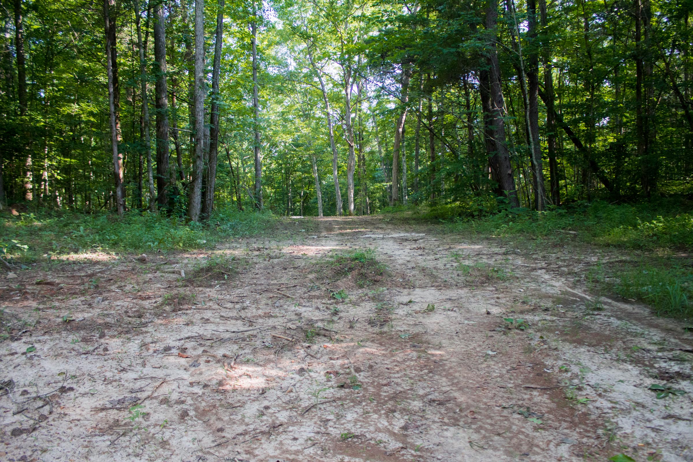 Tract 26 at Bluewater Ridge in Wayne County, Kentucky