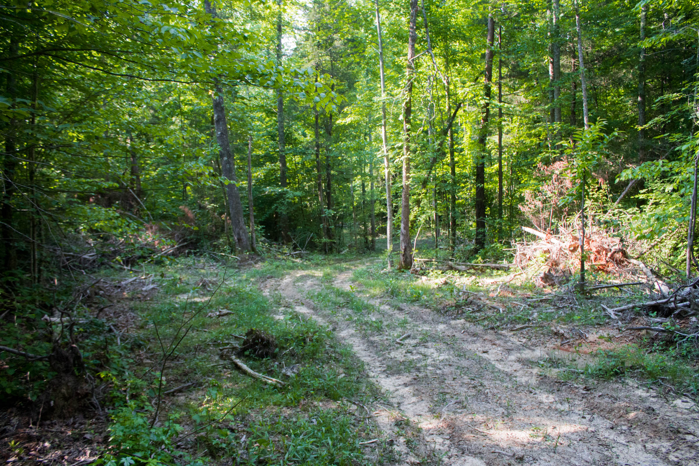 Tract 27 at Bluewater Ridge in Wayne County, Kentucky