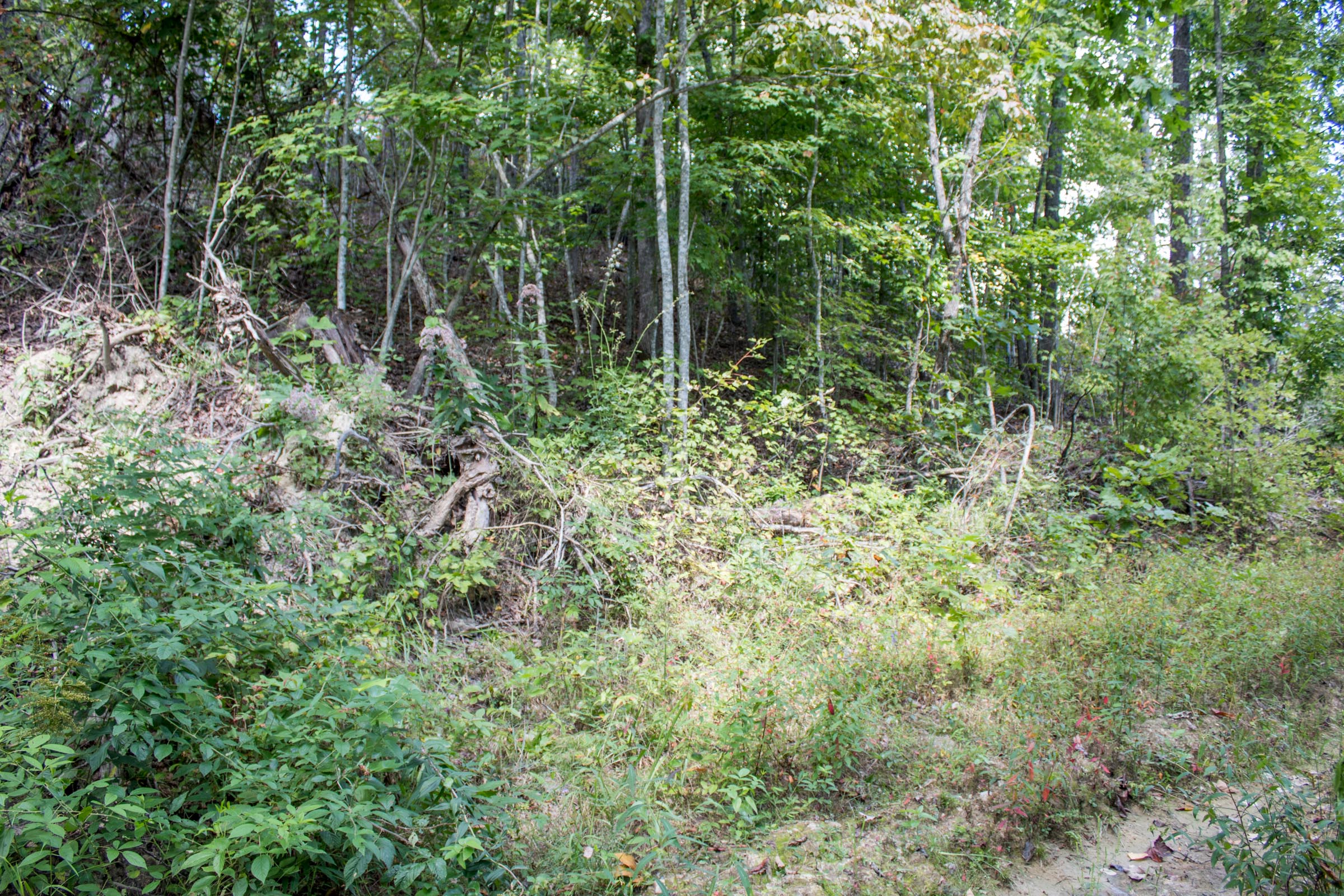 Tract 10 at Buck Run Ridge in Wayne County, Kentucky