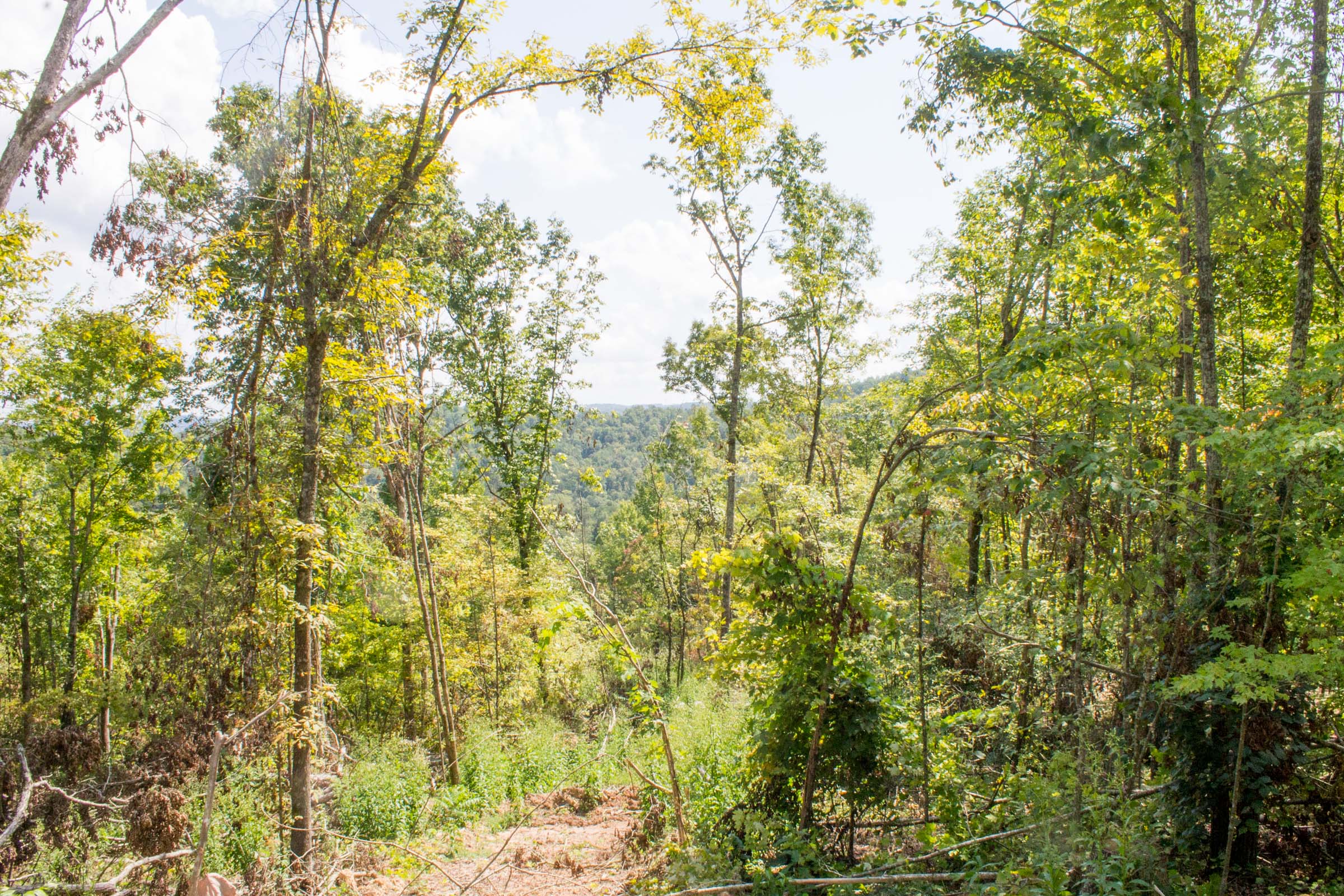 Tract 13 at Buck Run Ridge in Wayne County, Kentucky