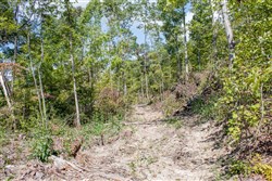property photo for Buck Run Ridge Tract 21, 13.07 acres for sale in Wayne County, Kentucky