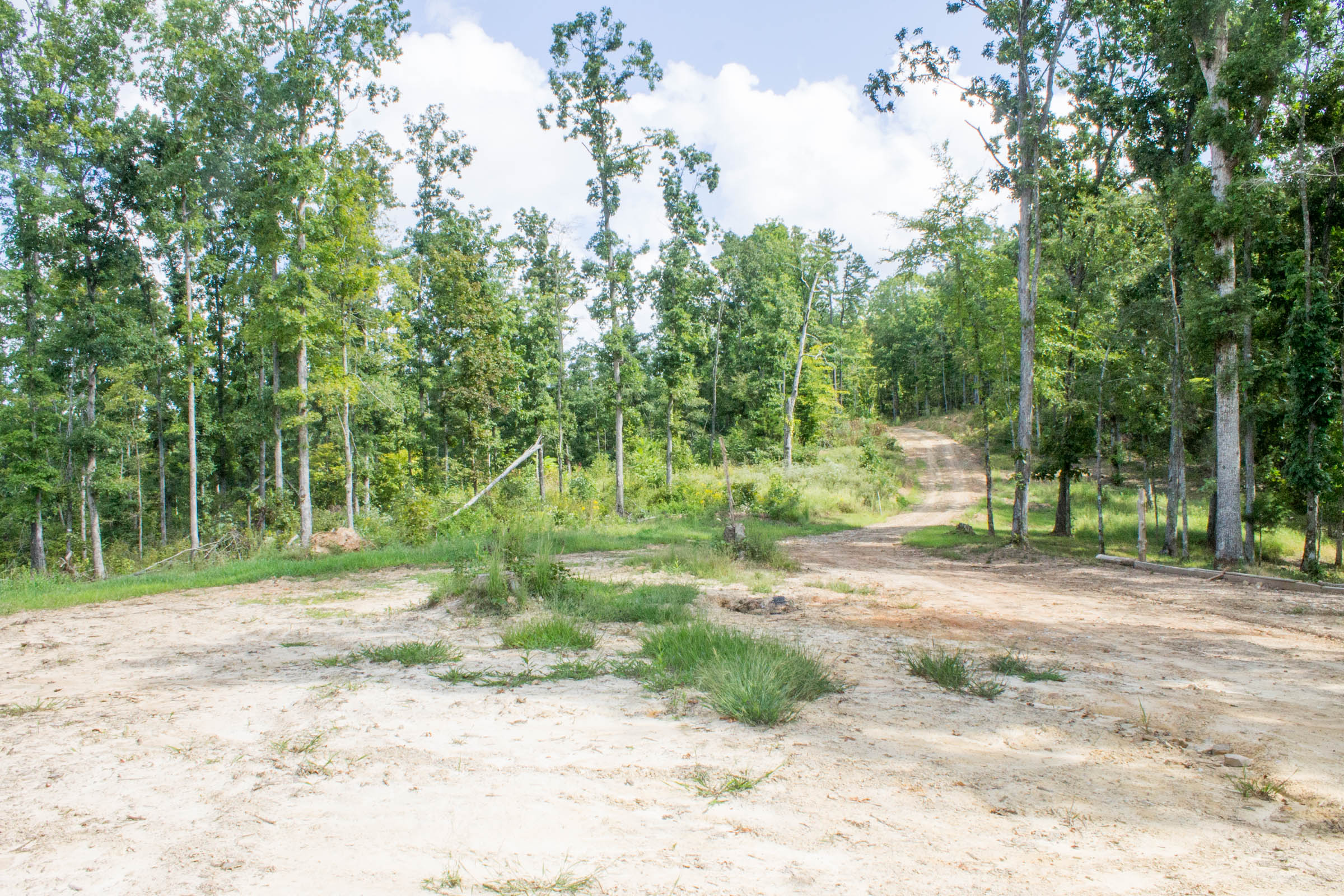 Tract 22 at Buck Run Ridge in Wayne County, Kentucky