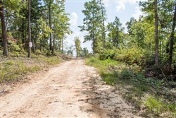property photo for Buck Run Ridge Tract 26, 11.11 acres for sale in Wayne County, Kentucky