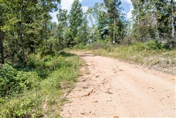 property photo for Buck Run Ridge Tract 26, 11.11 acres for sale in Wayne County, Kentucky
