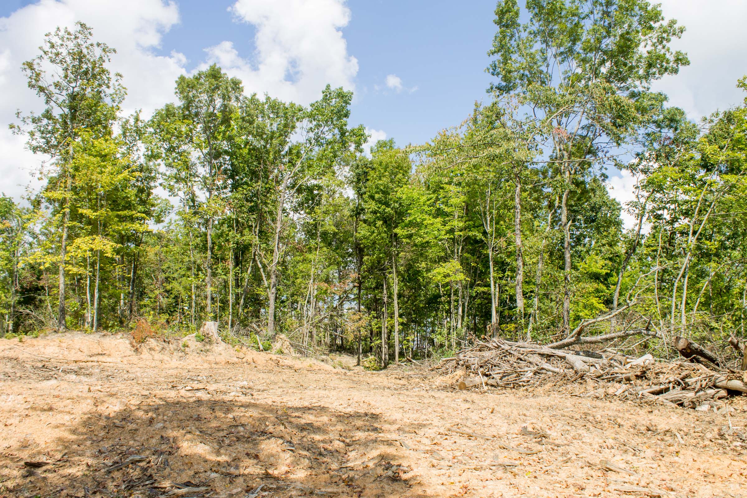 Tract 8 at Buck Run Ridge in Wayne County, Kentucky