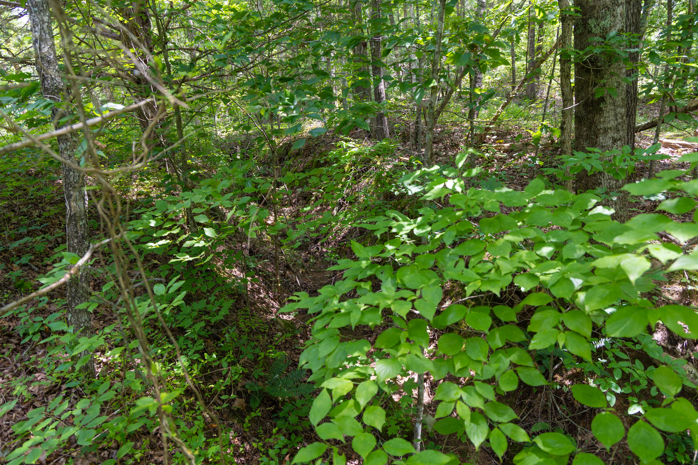 Tract 1 at Poppys Point in Wayne County, Kentucky