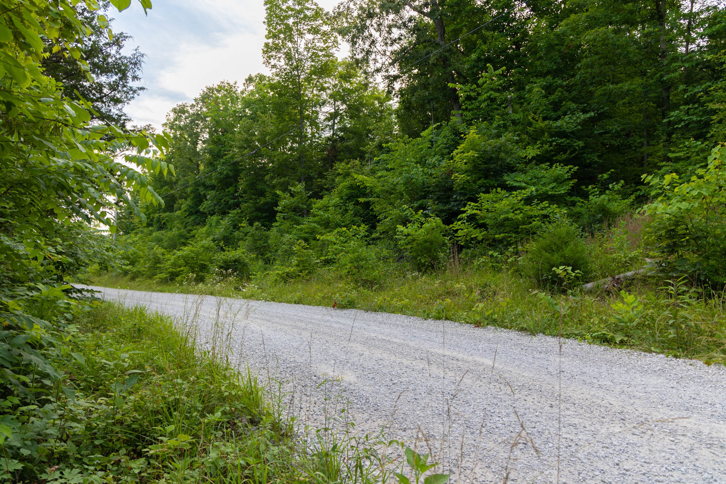 Tract 11 at Poppys Point in Wayne County, Kentucky
