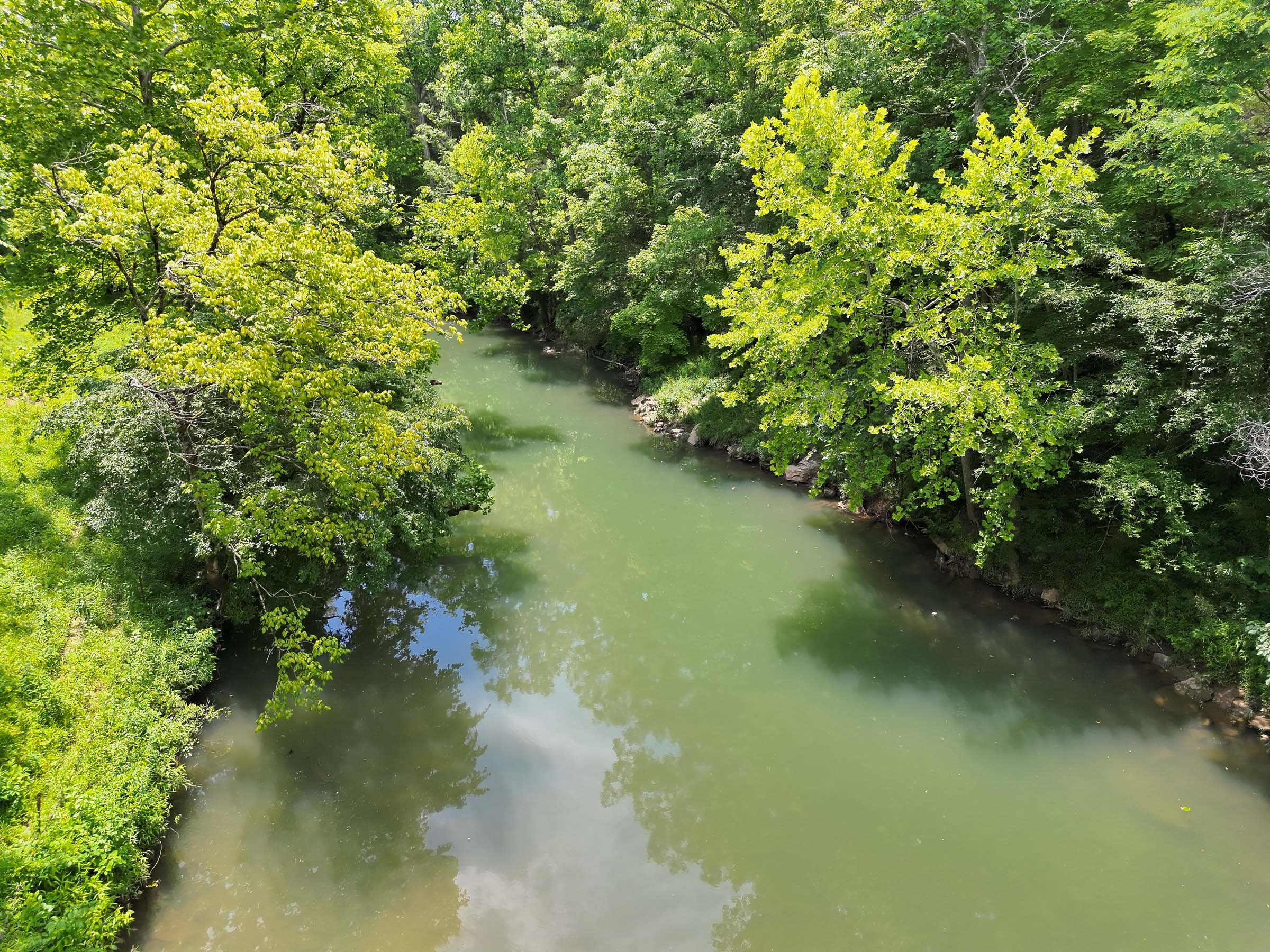 Tract 12 at Poppys Point in Wayne County, Kentucky