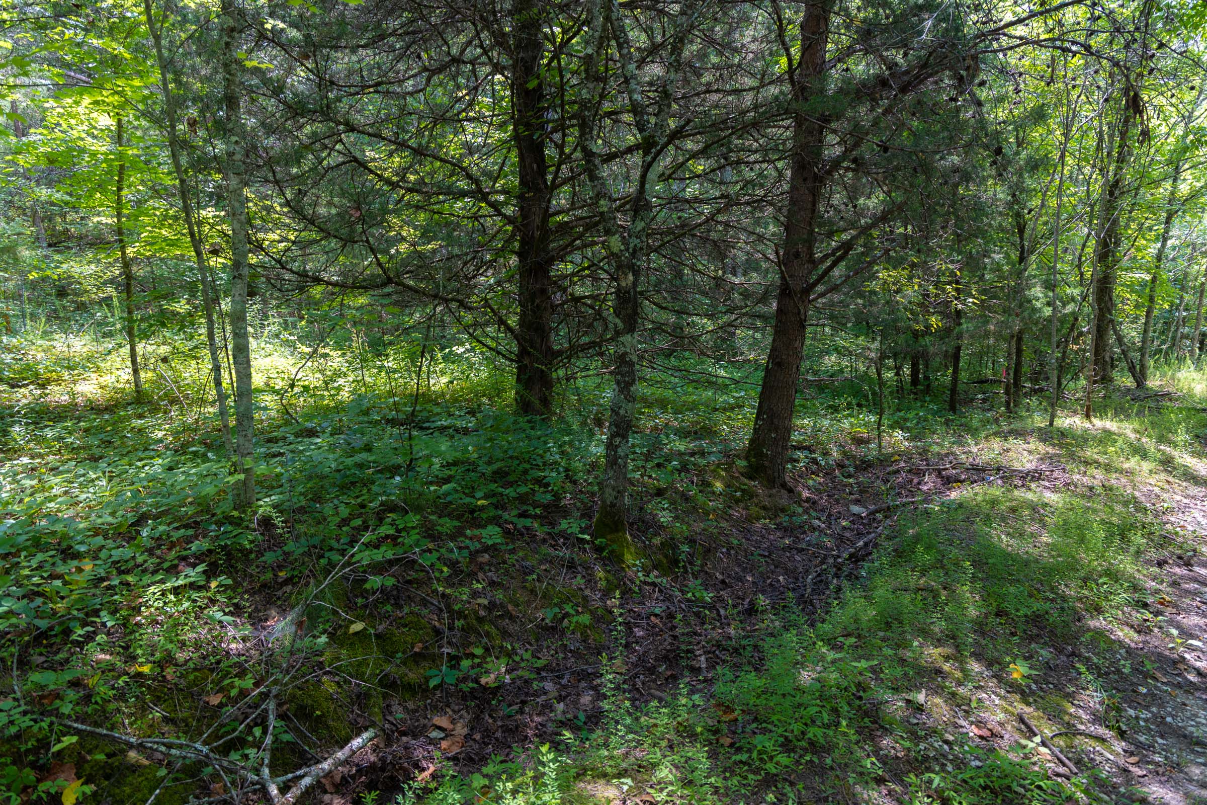 Tract 3 at Poppys Point in Wayne County, Kentucky