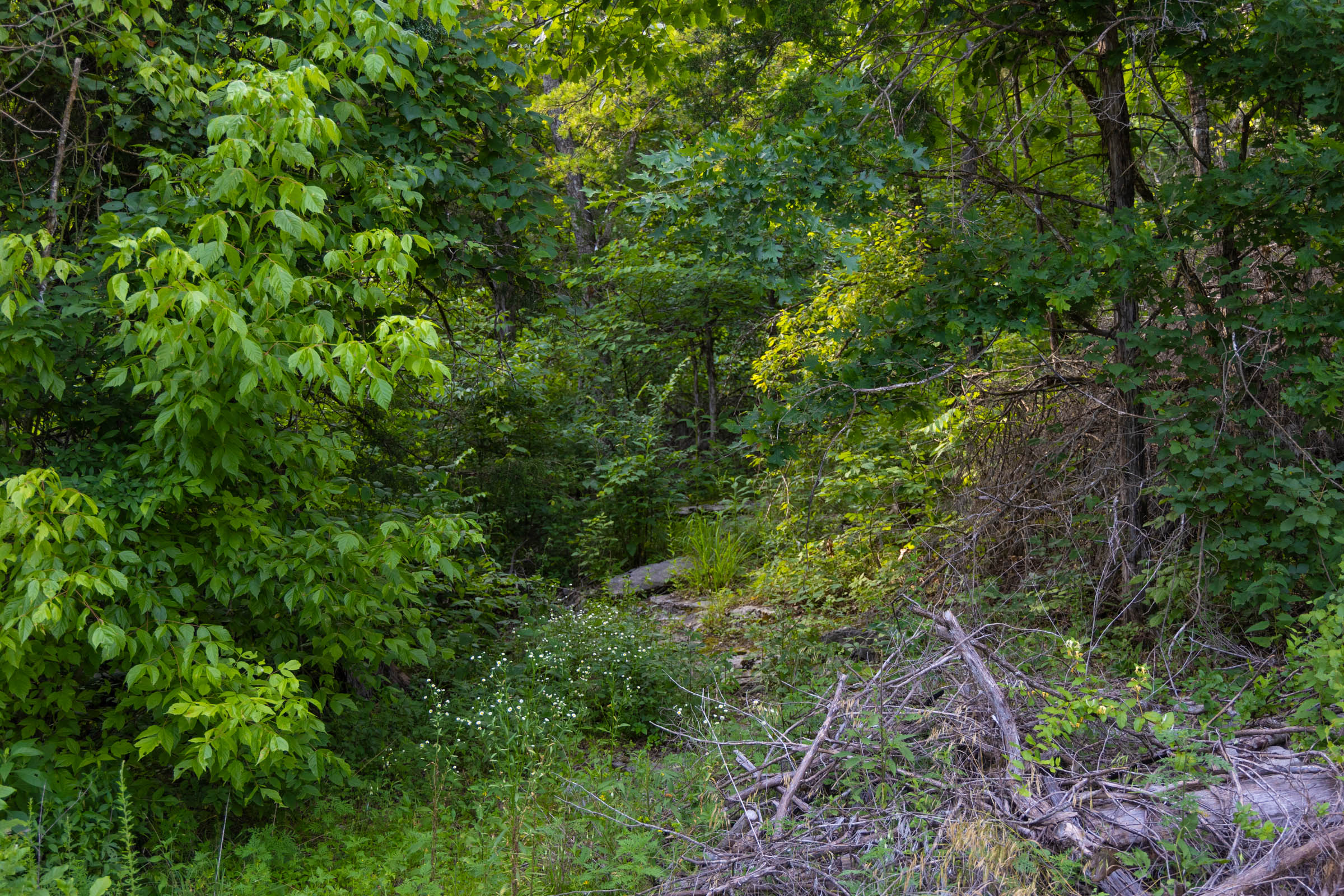 Tract 4 at Poppys Point in Wayne County, Kentucky