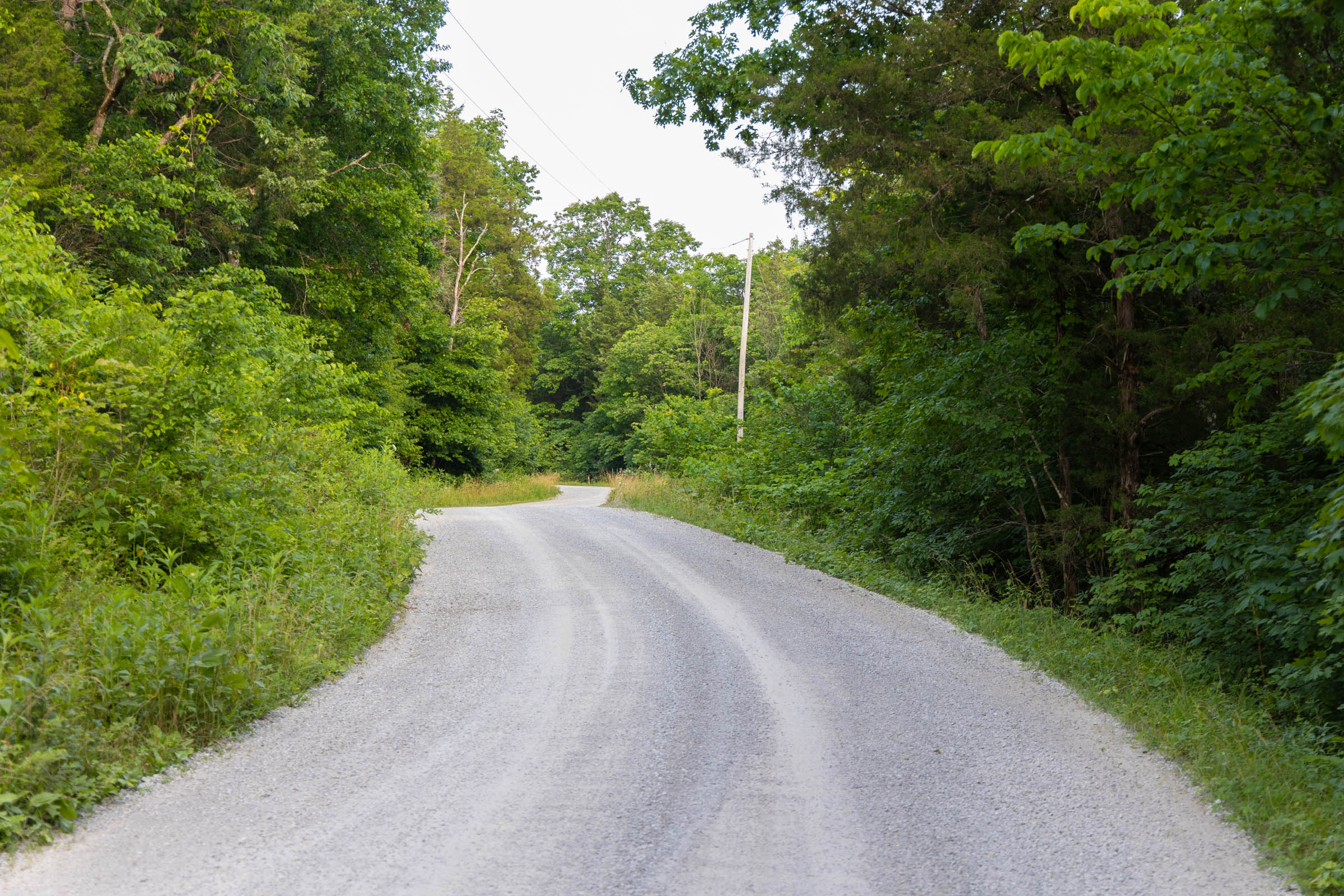 Tract 8 at Poppys Point in Wayne County, Kentucky