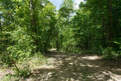 property photo for Riverbend Tract 13, 3.66 acres for sale in Wayne County, Kentucky