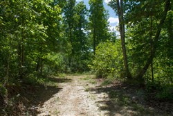 property photo for Riverbend Tract 13, 3.66 acres for sale in Wayne County, Kentucky