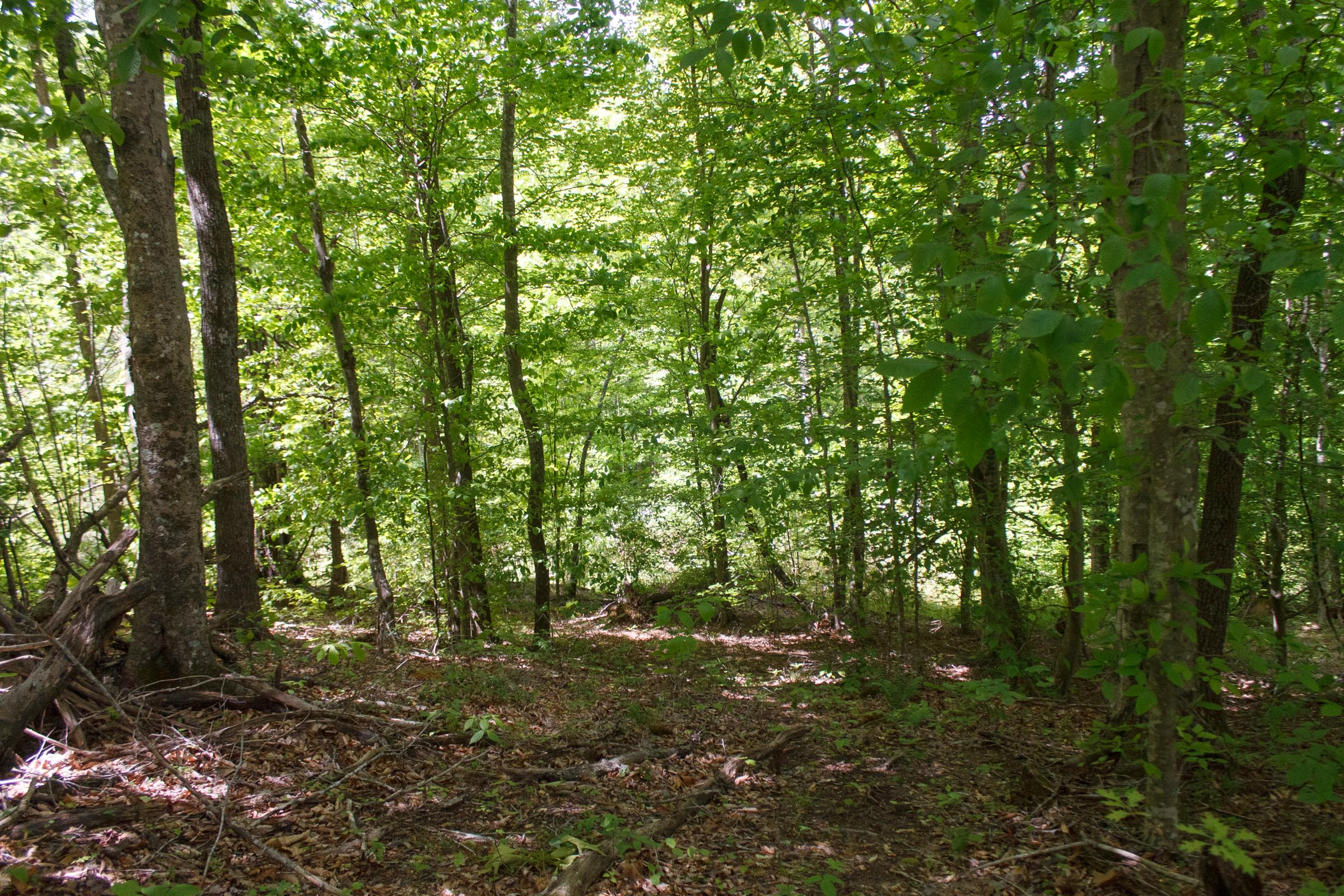 Tract 17 at Riverbend in Wayne County, Kentucky