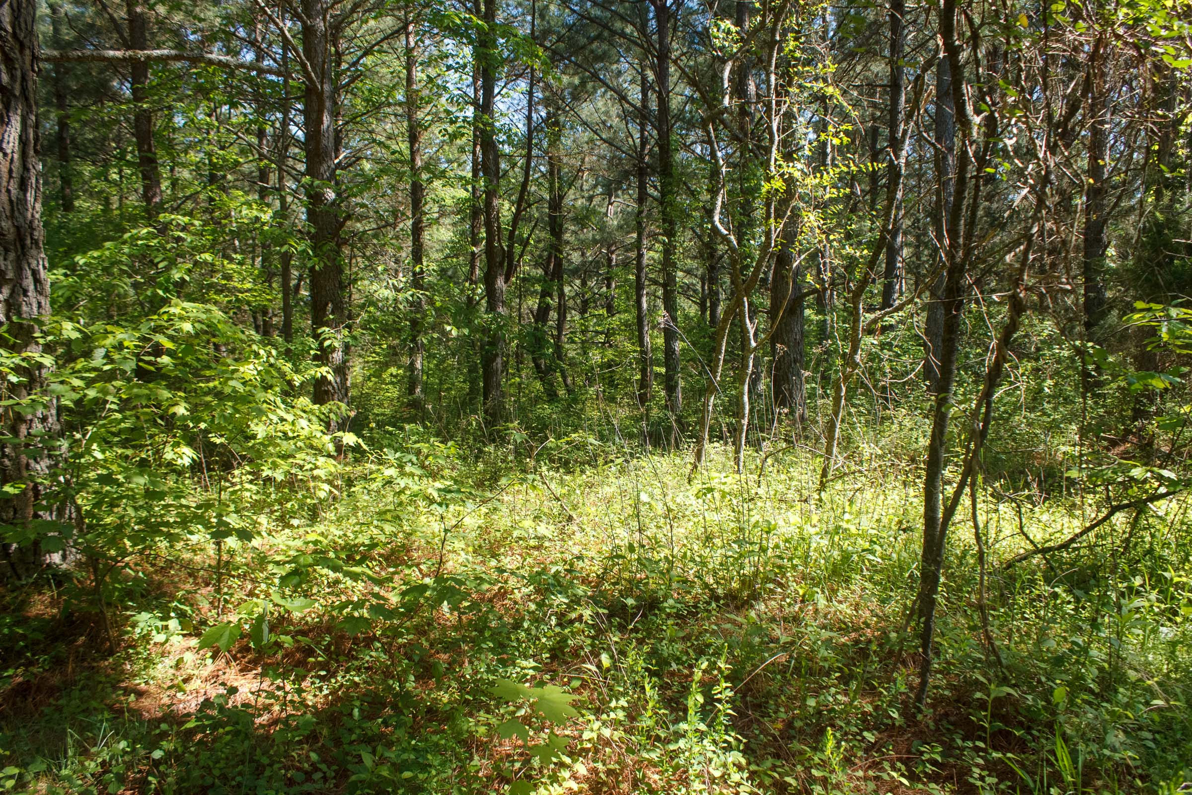 Tract 18 at Riverbend in Wayne County, Kentucky