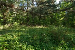 property photo for Riverbend Tract 25, 4.32 acres for sale in Wayne County, Kentucky