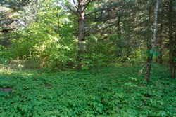 property photo for Riverbend Tract 25, 4.32 acres for sale in Wayne County, Kentucky