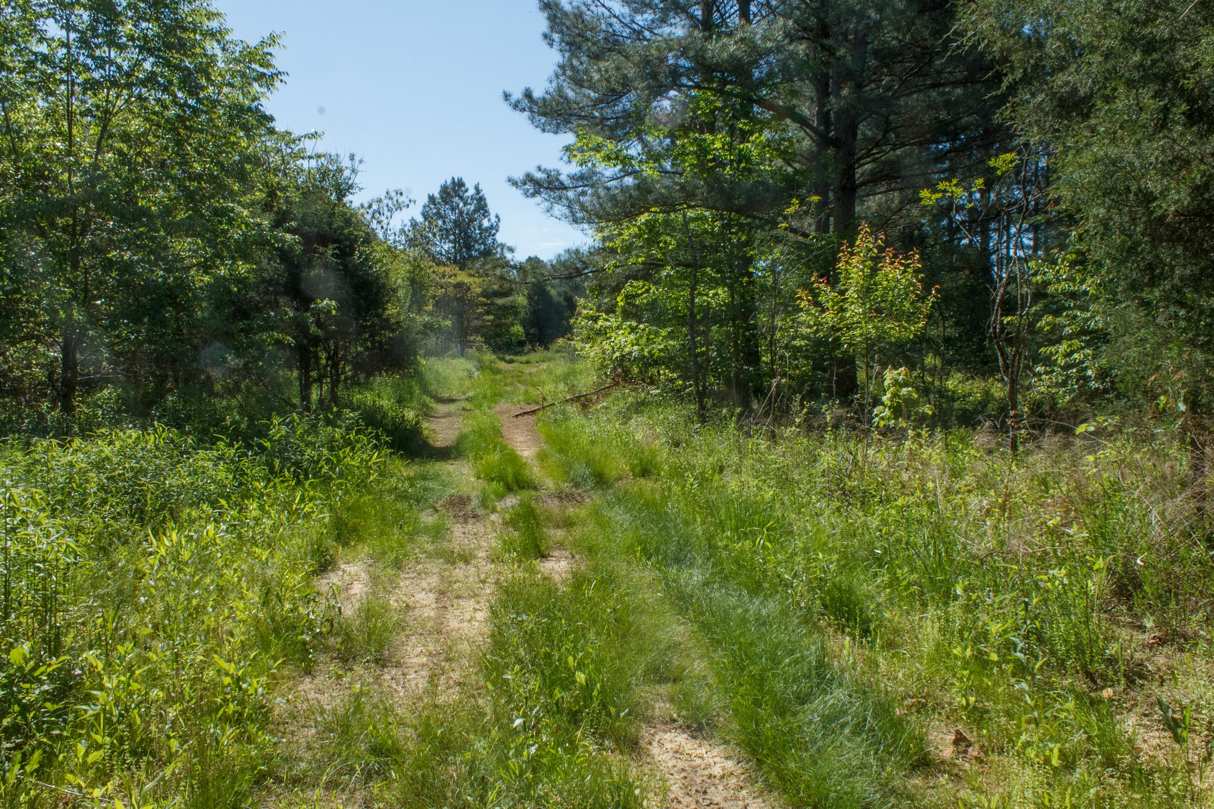 Tract 26 at Riverbend in Wayne County, Kentucky
