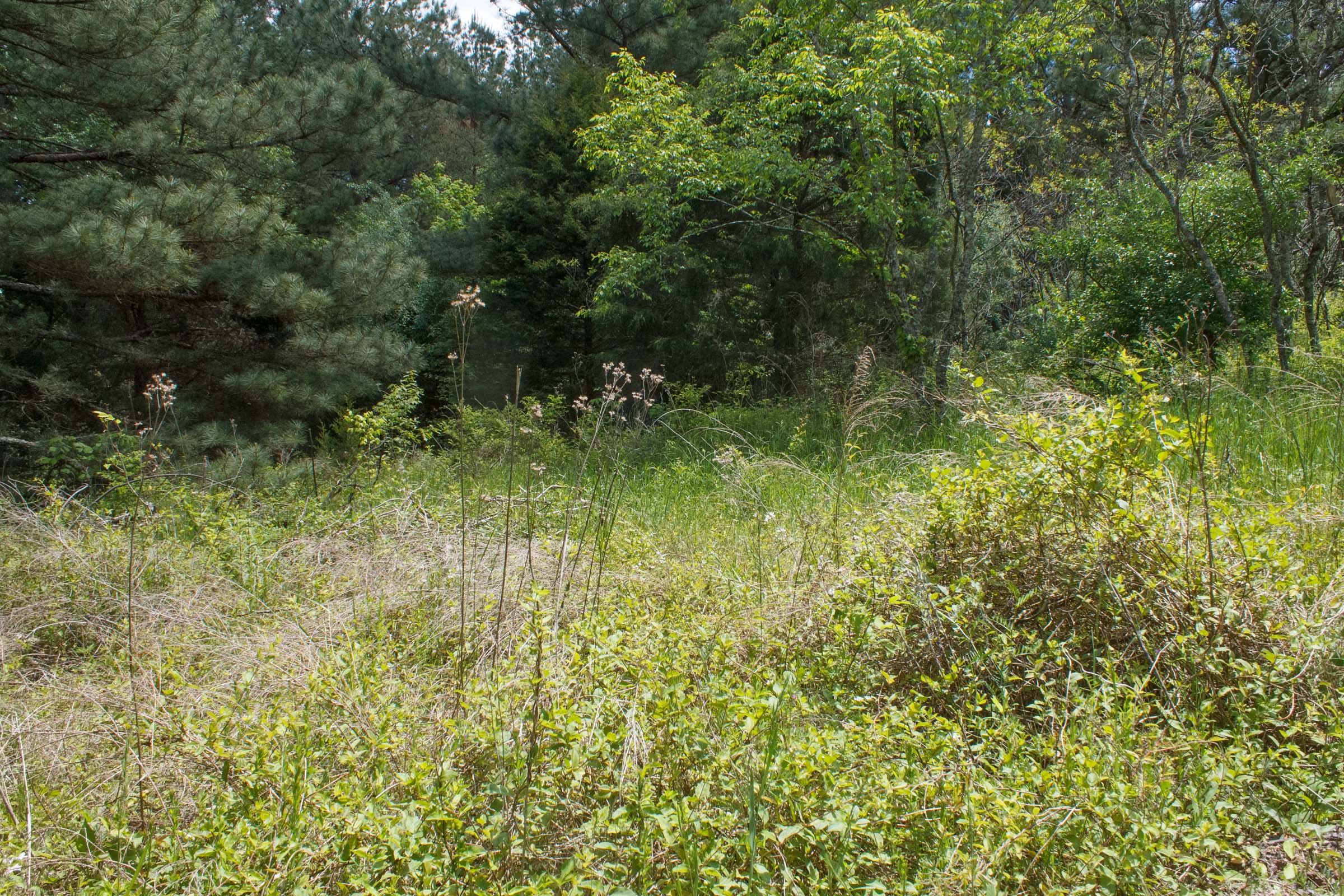 Tract 29 at Riverbend in Wayne County, Kentucky