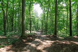 property photo for Rolling Hills Tract 10, 7.27 acres for sale in Wayne County, Kentucky